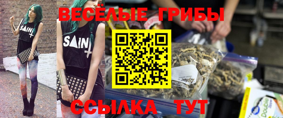 Дедовск  Псилоцибиновые грибы Psilocybe  Вход с VPN 